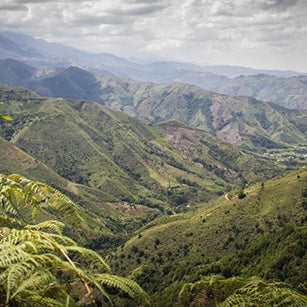 Granja Paraiso 92 Ombligon Inoculated / COLOMBIA