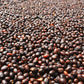 Altieri Specialty Coffee Chombi  Dry Fermentation Natural / Panama