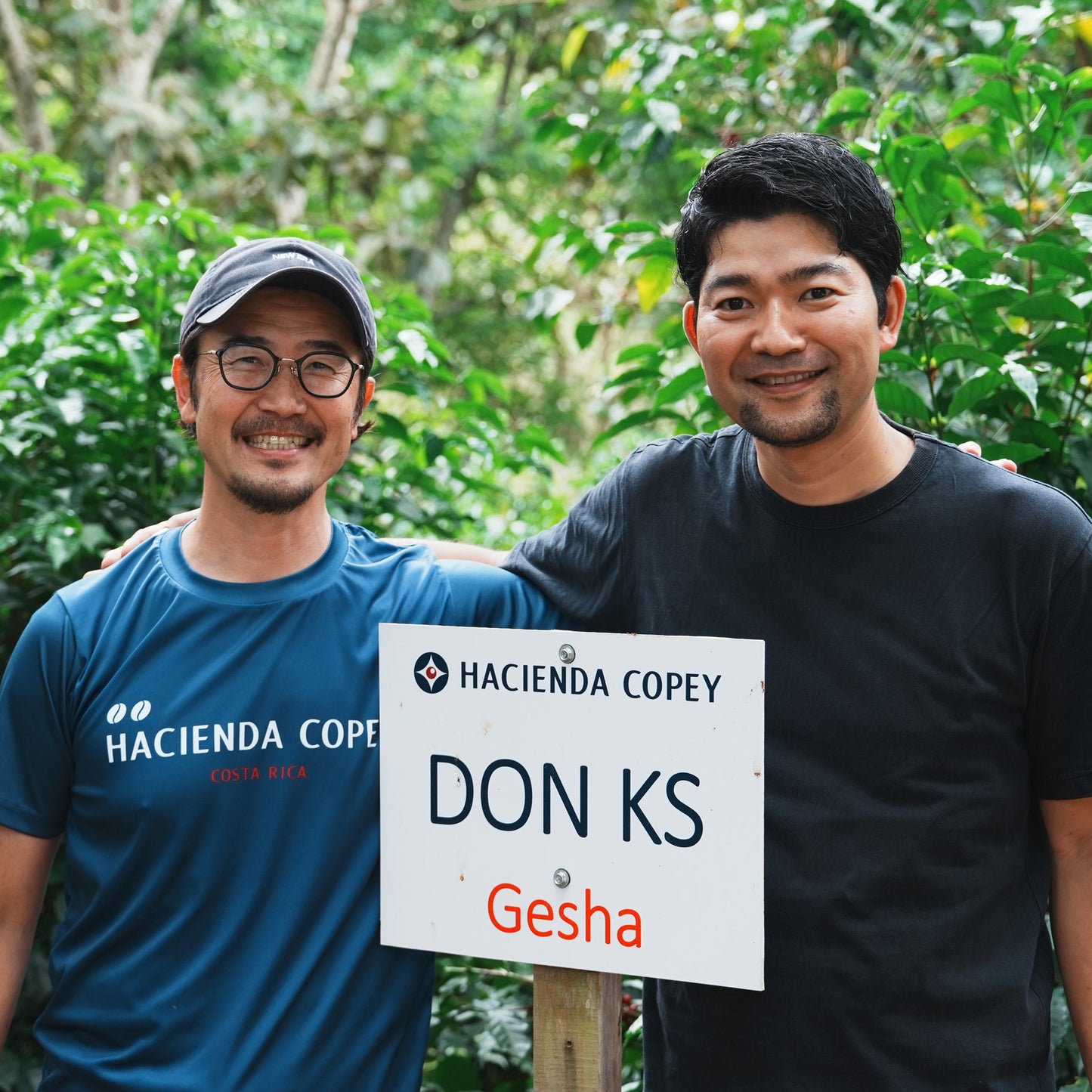 ハシエンダ・コペイ DON KS ゲイシャ ハニー COE 2024 #10 / コスタリカ