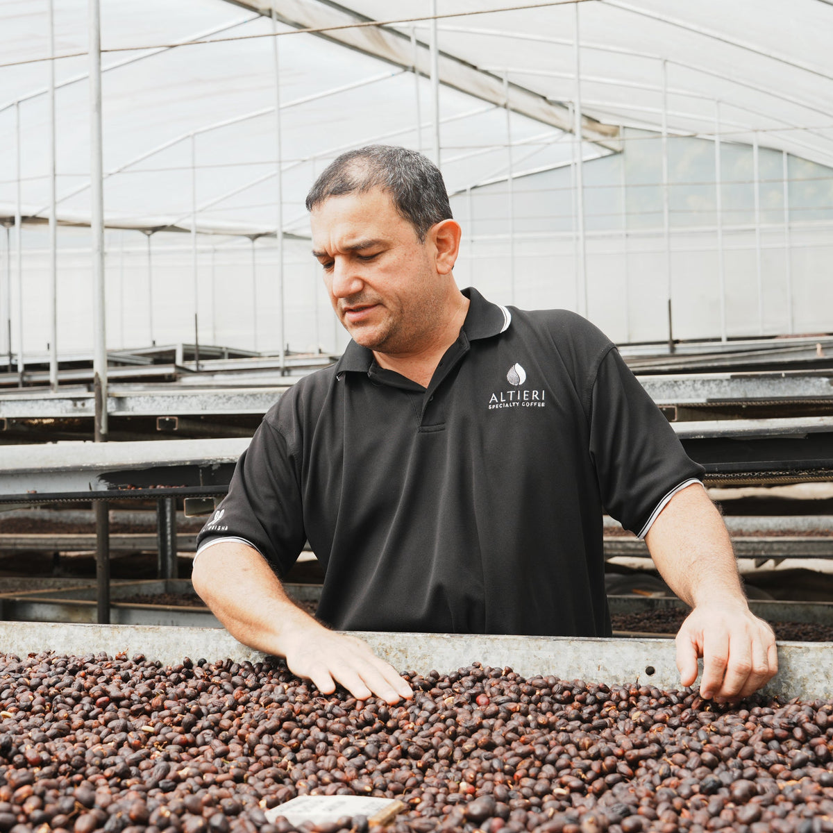 Altieri Specialty Coffee Chombi  Dry Fermentation Natural / Panama