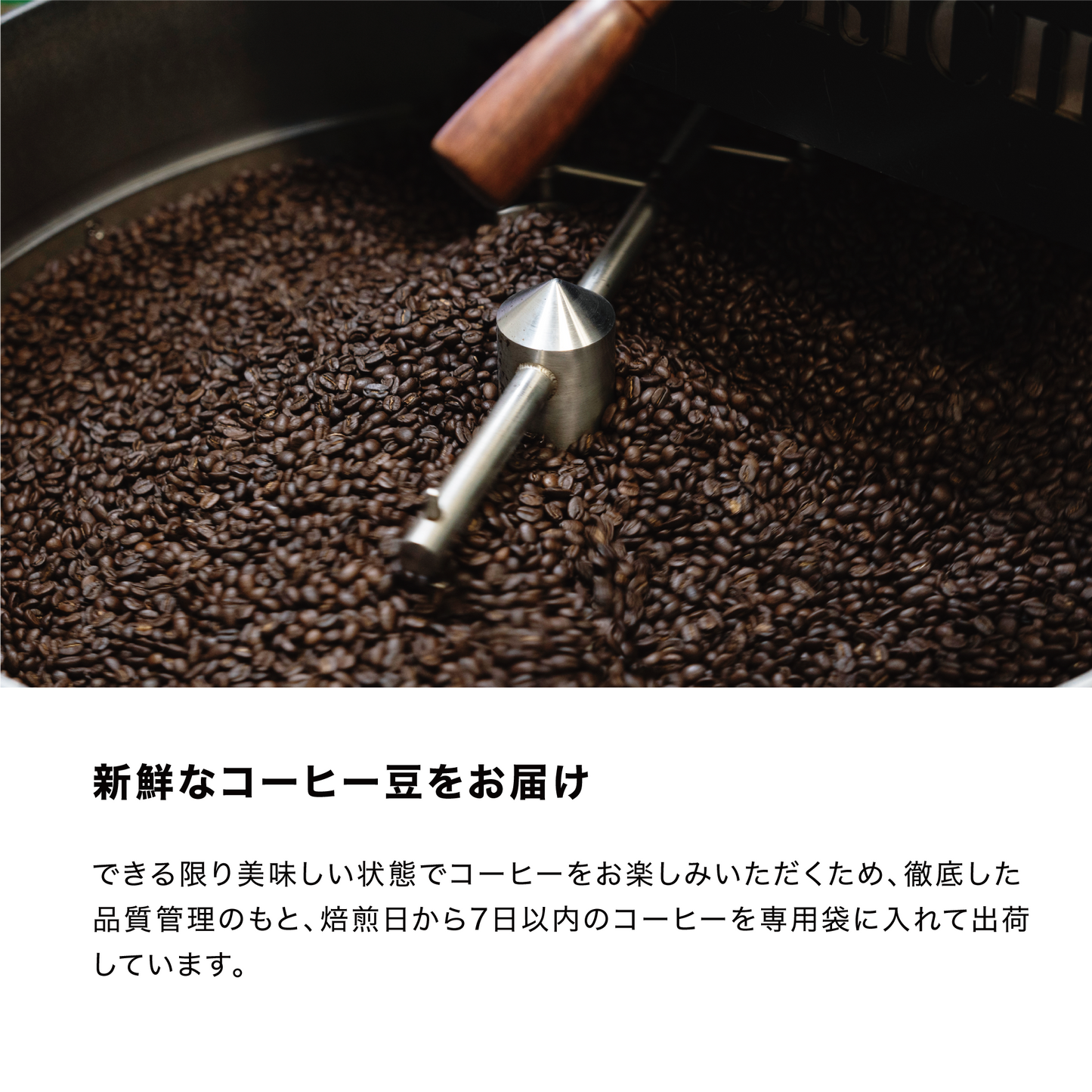 【送料無料】トライアルセット